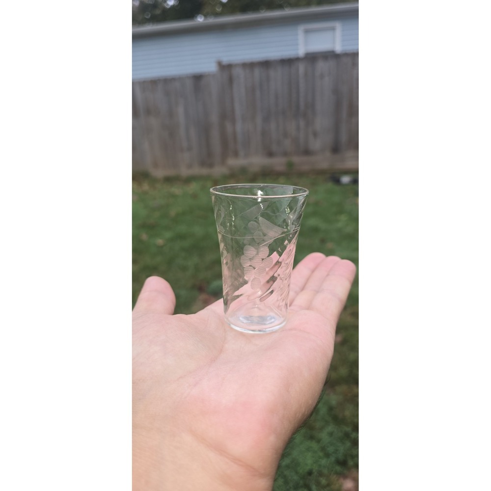 1 vintage juice or cordial glasses wheel cut grapes etch  clear depression glass